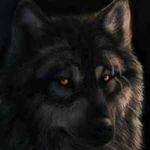 Meet your Posher, Alec